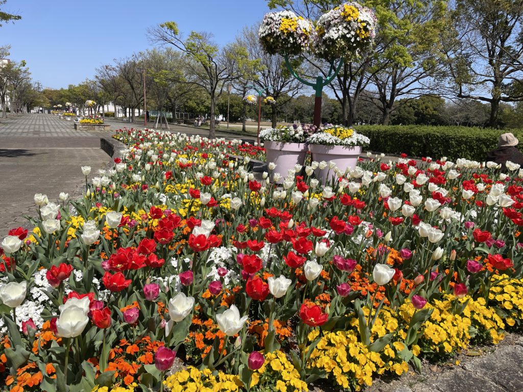 荒子川公園の花壇